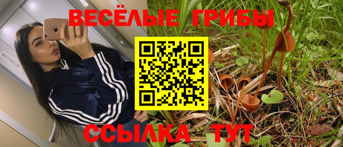 Псилоцибиновые грибы GOLDEN TEACHER Корсаков