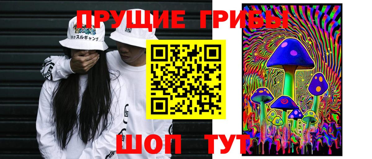 Галлюциногенные грибы GOLDEN TEACHER  Вход с VPN  Корсаков 